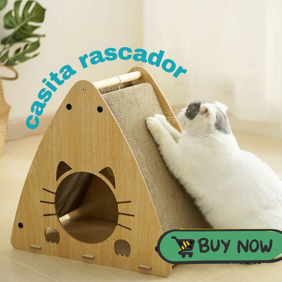 Casita Rascador