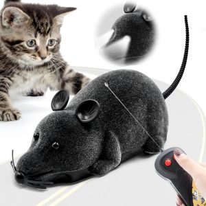 Ratón Control Remoto